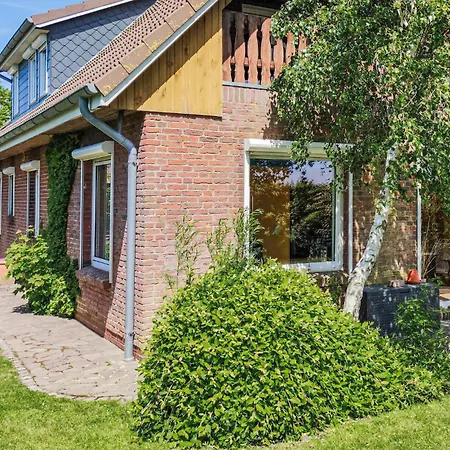 Amazing In With Wifi